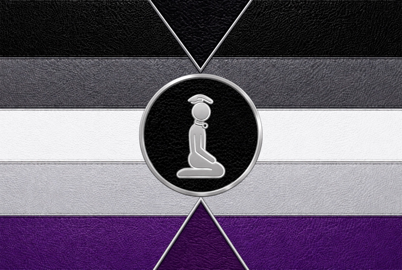 HuPet: Indoctrination, Training, and Conditioning